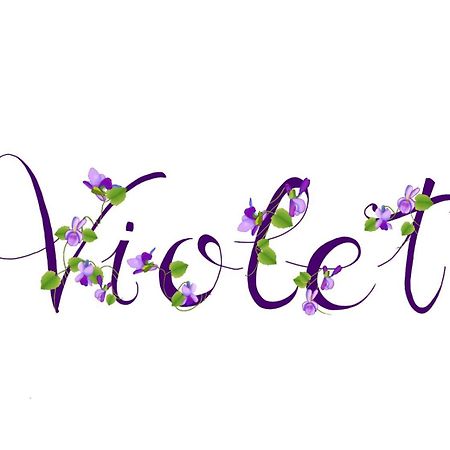 Appartamento Violet - بارما المظهر الخارجي الصورة